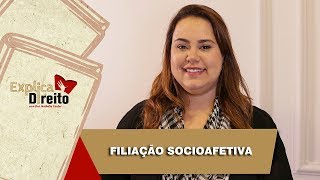 Explica Direito Filiação Socioafetiva  2019 [upl. by Tiat593]