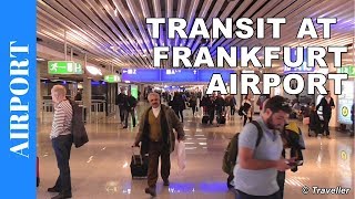 TRANSIT WALK AT FRANKFURT Airport FRA Terminal 1  Connection Flight Transfer Arriving amp Departing [upl. by Acinoed246]